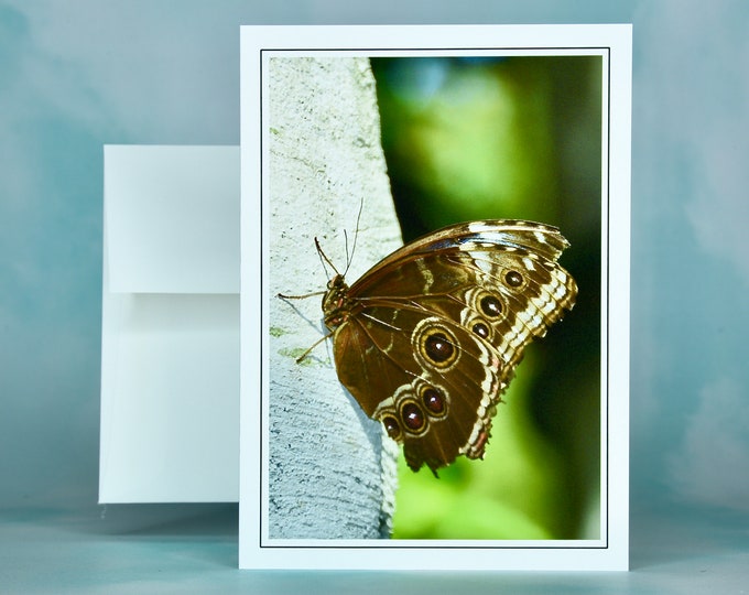 Butterfly Note Card - Common Buckeye Butterfly - Blank Note Card  53-0439