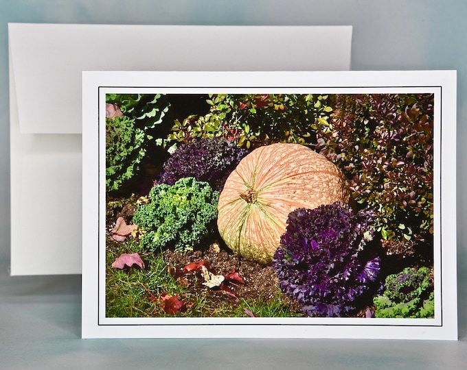 Autumn - Fall Photo Note Card - Blank Note Card - Variegated Pumpkin and Decorate Kale  53-0555