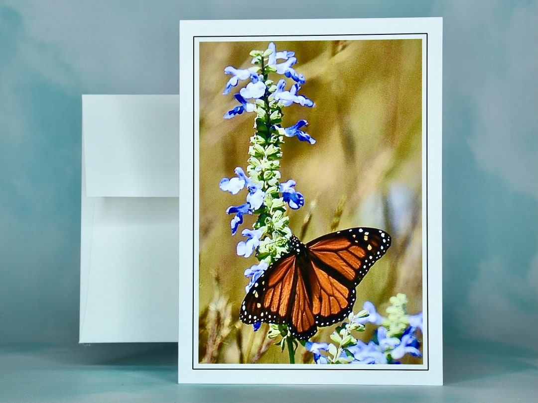 Monarch Butterfly Note Card: Azure Blue Sage, Blank Inside - 71=9775 - Etsy