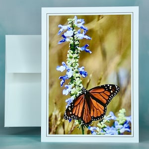 Vlindernotitiekaart - Monarch op azuurblauwe salie - blanco notitiekaart 71-9775