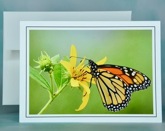 Butterfly Note Card - Monarch on Jerusalem Artichoke - Blank Note Card  71-6170