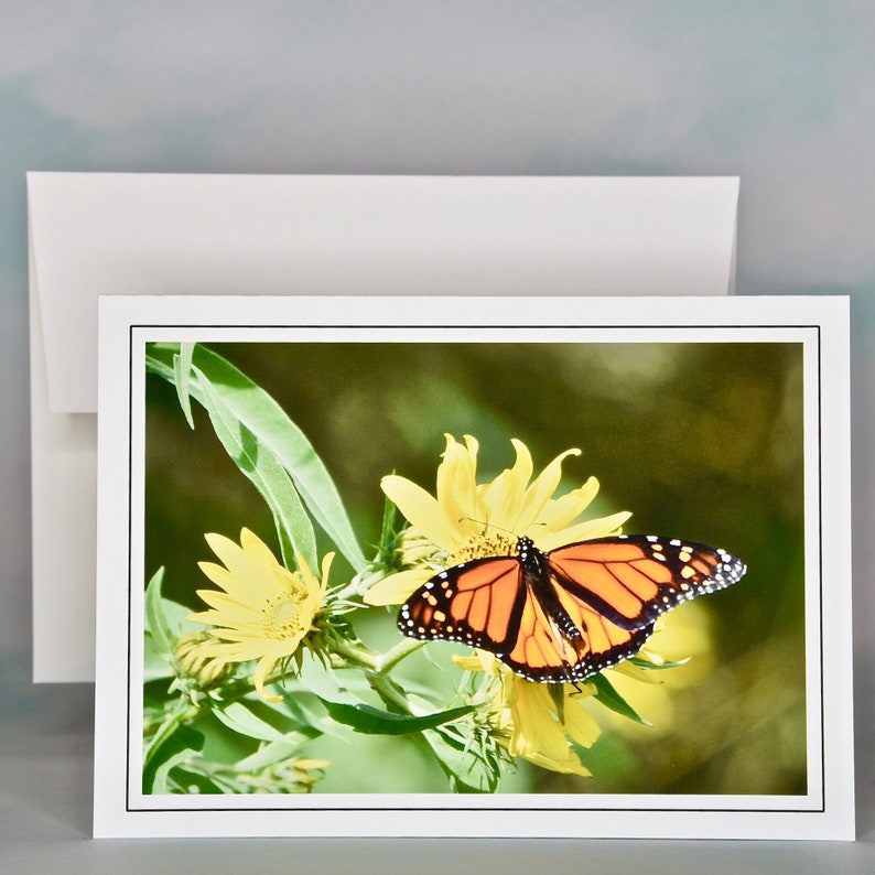 Butterfly Photo Note Cards Blank Note Cards 600080 Etsy