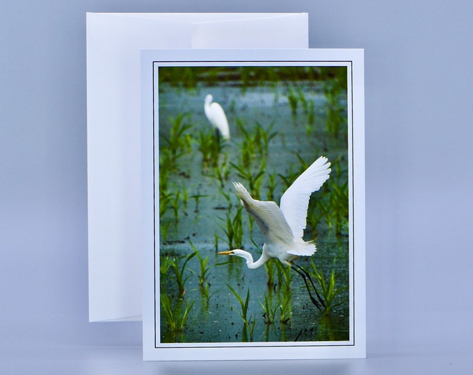 Great Egret Note Card - Blank Note Card  71-9372