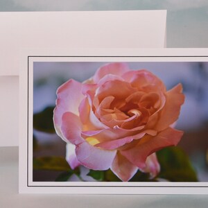 Pink Rose Photo Note Card - Blank Note Card  71-1347N