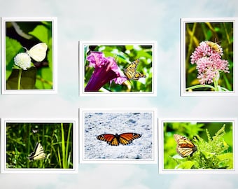 Assorted Butterfly Note Cards: Blank Inside, Gift Set - 60-0520