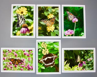 Butterfly Note Cards: Assorted Blank Cards Set of 6 - 60-0450