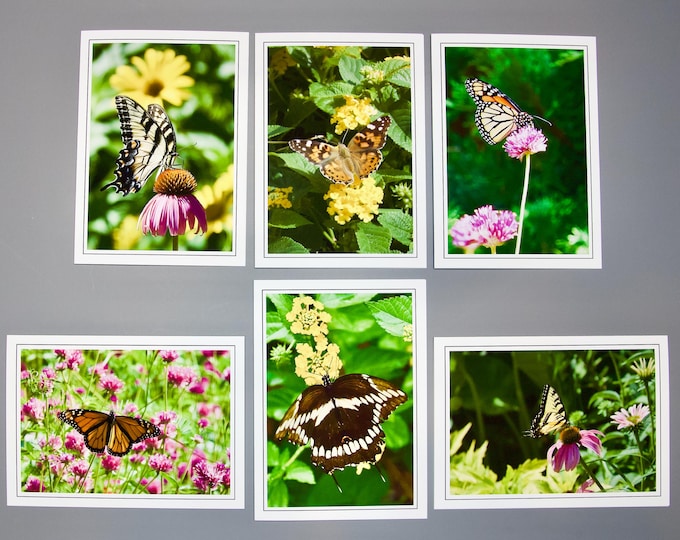 Butterfly Note Cards - Assorted Butterflies - Blank Note Cards Set/6 - 60-0450