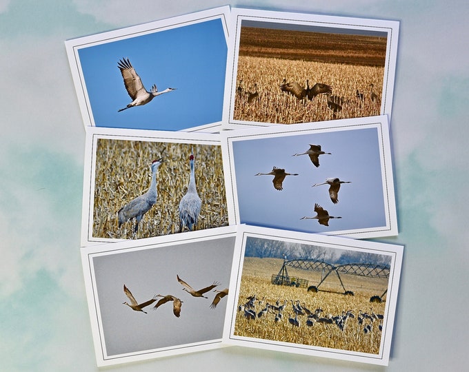 Sandhill Crane Blank Photo Note Cards - Note Cards with Envelopes  60-0140