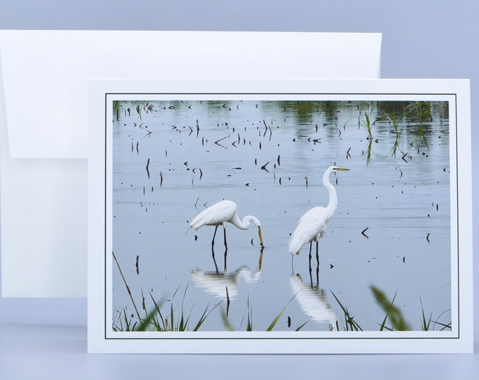 Great Egrets Wading - Blank Note Card  71-9284B
