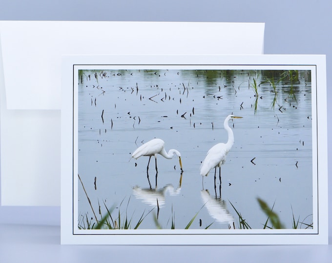 Great Egrets Wading - Blank Note Card  71-9284B