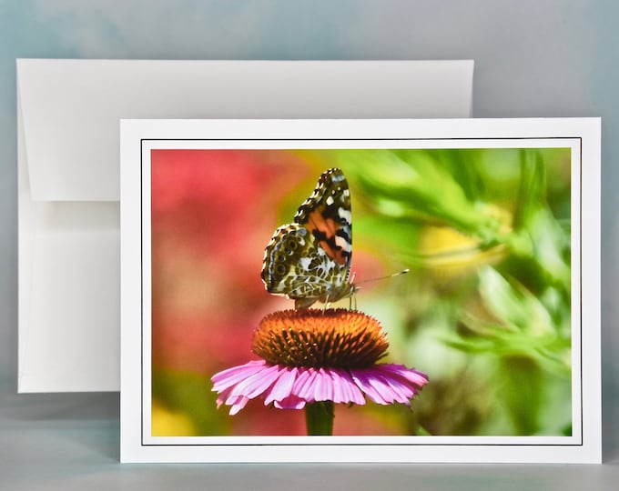 Butterfly on Cone Flower Note Card - Painted Lady Note Card - Blank Note Card  53-0697