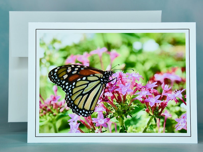 Butterfly Note Cards Monarch Butterflies Blank Note Cards 600280 Etsy