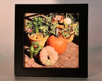 Small Framed Art - Fall/Autumn - Wall or Tabletop  F44-71-7127