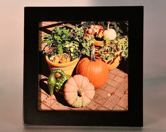 Small Framed Art - Fall/Autumn - Wall or Tabletop  F44-71-7127