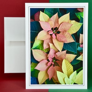 Weihnachtskarten - 8er Set mit Umschlägen - Euphorbia Autumn Leaves Poinsettia 81-0790