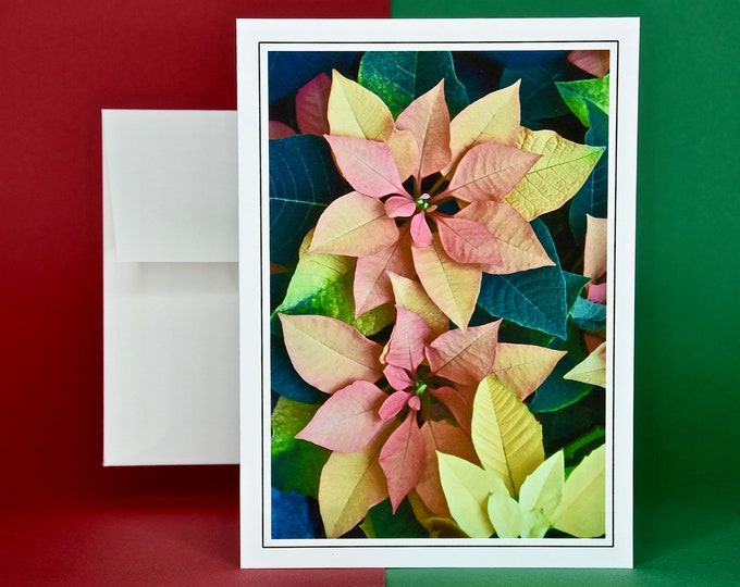 Christmas Cards  - Set of 8 with Envelopes - Euphorbia Autumn Leaves Poinsettia  81-0790