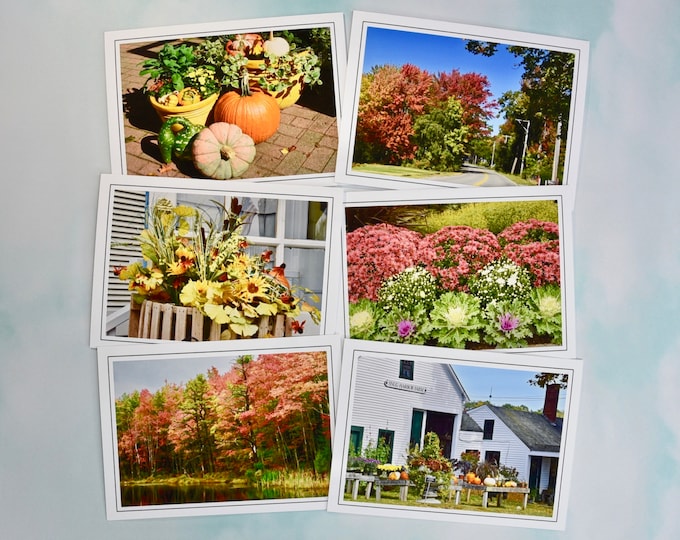 Autumn - Fall Photo Note Cards - Blank Note Cards - Set of 6  60-0200