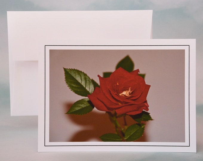 Regal Red Rose Photo Note Card - Blank Card - All Occasion Card - Greeting Card  71-1331N