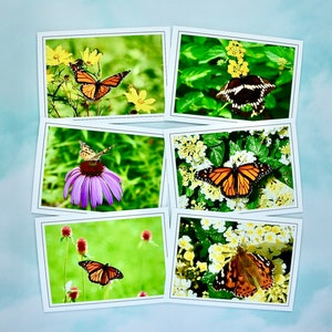 Cartes de correspondance Butterfly - Cartes de correspondance vierges 60-0350