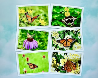 Butterfly Note Cards: Assorted Blank Cards with Envelopes - 60-0350