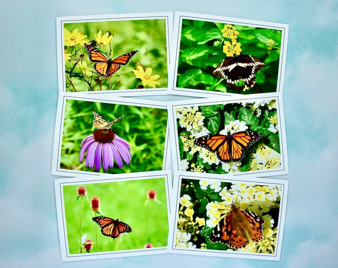Butterfly Note Cards - Blank Note Cards