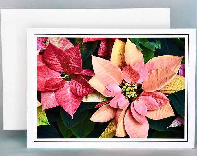 Christmas Cards, Set of 8 with Envelopes - Monet & Euphorbia Poinsettias  81-0082