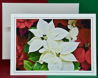 Christmas Cards - Set of 8 with Envelopes - Classic White Poinsettias  81-0781