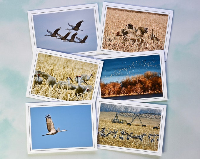 Sandhill Crane Blank Photo Note Card Assortment - Blank Note Cards with Envelopes  60-0130