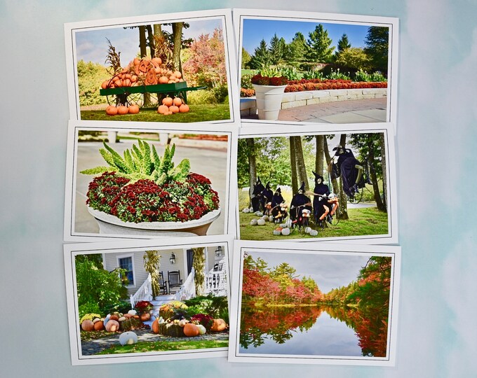 Autumn - Fall Photo Note Cards - Blank Note Cards - Set of 6  60-0190