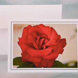 Red Rose Note Card - Blank Note Card  71-1340N