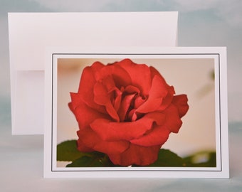 Red Rose Photo Note Card - Blank Card - 71-1340N