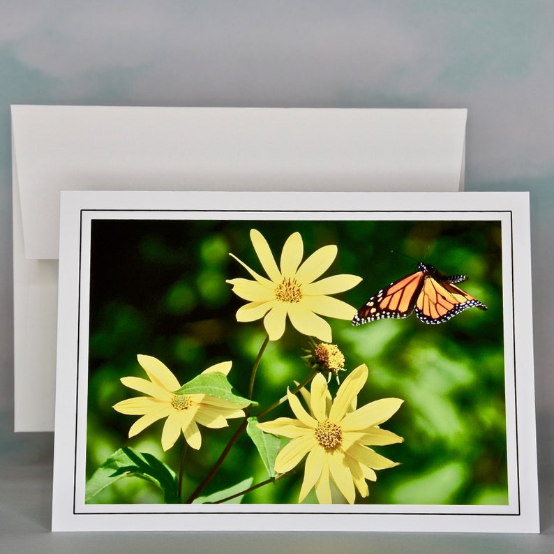 Butterfly Photo Note Cards Blank Note Cards 600080 Etsy
