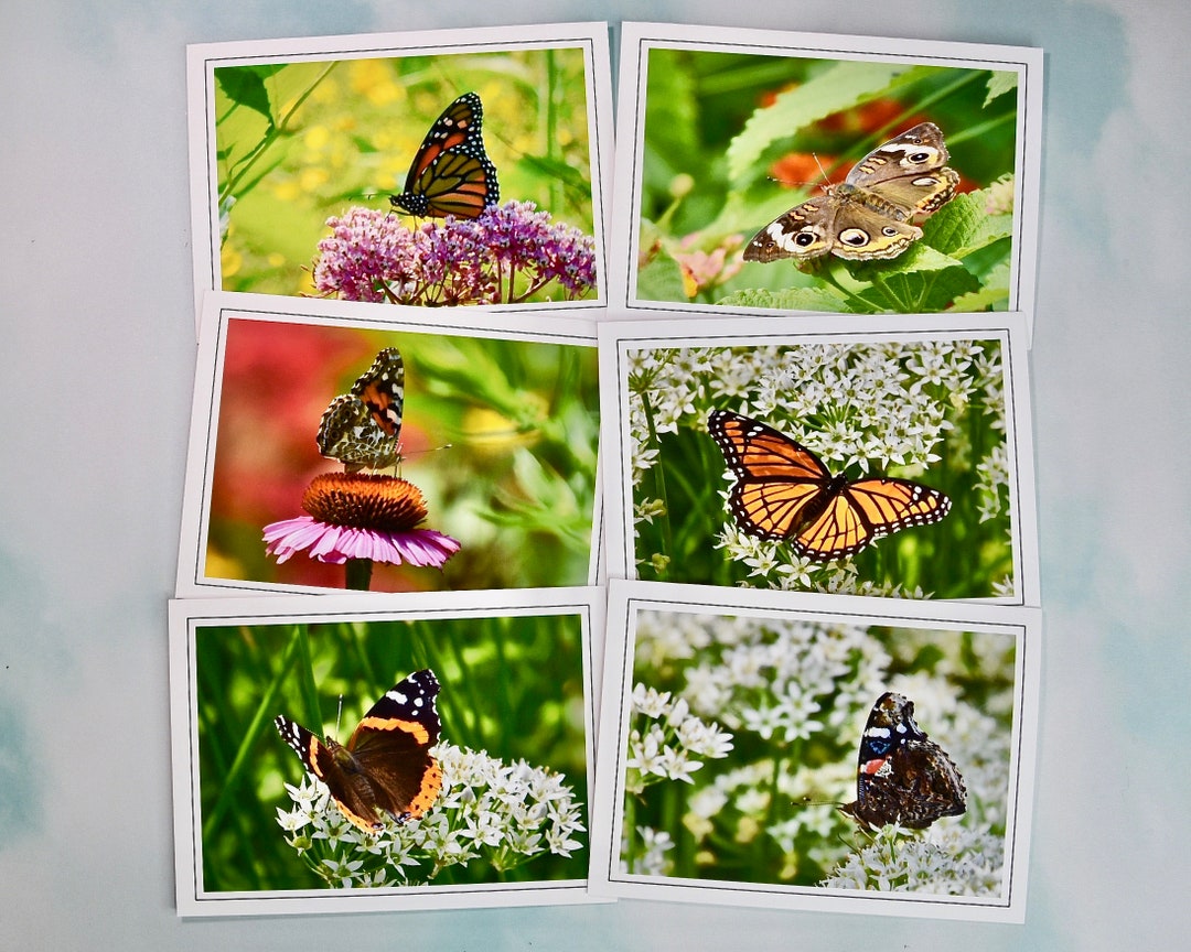 Butterfly Note Cards: Assorted Blank Cards With Envelopes - 60-0150 - Etsy