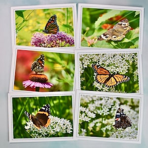 Notitiekaarten Butterfly - blanco notitiekaarten 60-0150