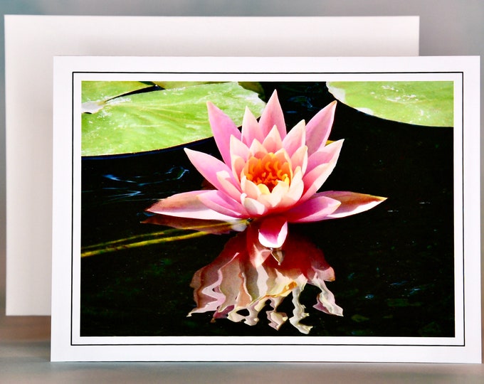 Pink Water Rose Water Lily Note Card - Blank Note Card  71-8192