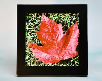 Small Framed Fall Art - Fall/Autumn - Wall or Tabletop  F44-71-7166