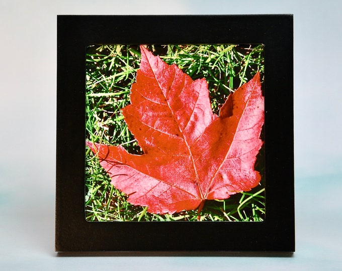 Small Framed Fall Art - Fall/Autumn - Wall or Tabletop  F44-71-7166