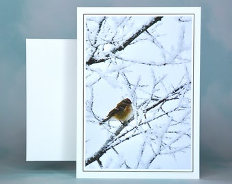 Winter Scenes - Sparrow on Frozen Branch - Blank Note Card  71-5315