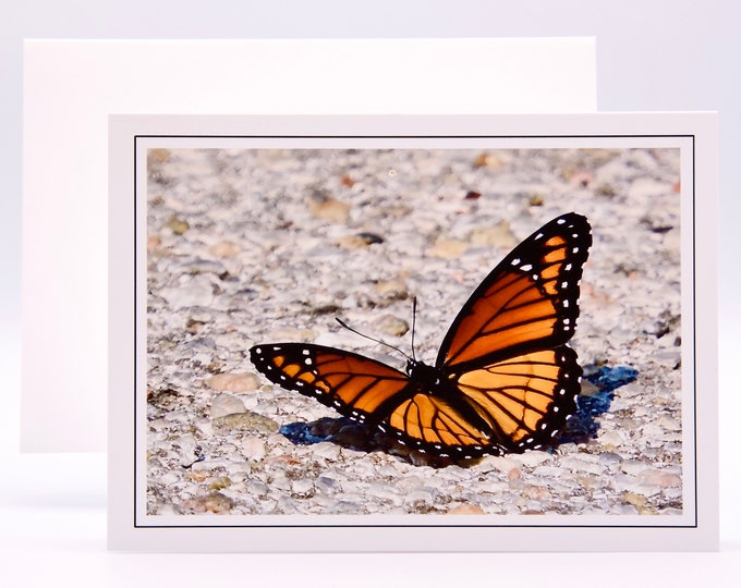 Monarch Butterfly "On the Rocks" - Blank Note Card - 71-5734