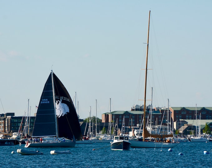 Coastal Photo Print - Harbor Photo Print - A Newport Afternoon  71-2879