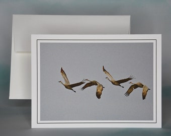 Sandhill Cranes in Flight Photo Note Card - Blank All Occasion Card - 75-3427N