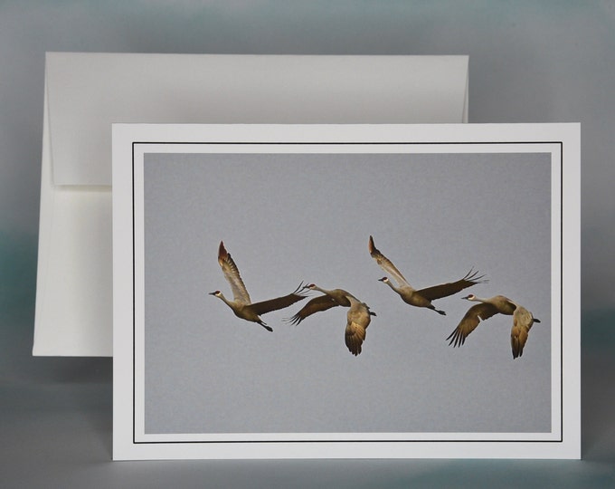 Sandhill Cranes in Flight Photo Note Card - Blank Note Card - All Occasion Card  75-3427N