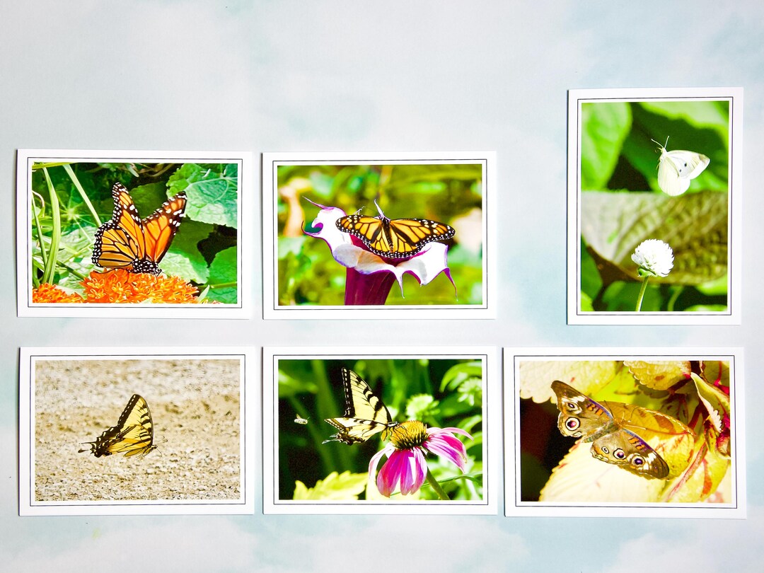 Assorted Butterfly Note Cards: Blank Inside, Gift Set - 60-0510 - Etsy