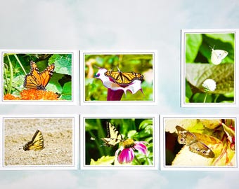 Assorted Butterfly Note Cards: Blank Inside, Gift Set - 60-0510