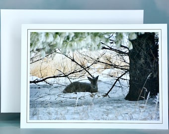 Winter Scenes - Deer in the Snow - Blank Note Card  71-5383