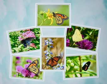 Butterfly Note Cards - Blank Note Cards   60-0270