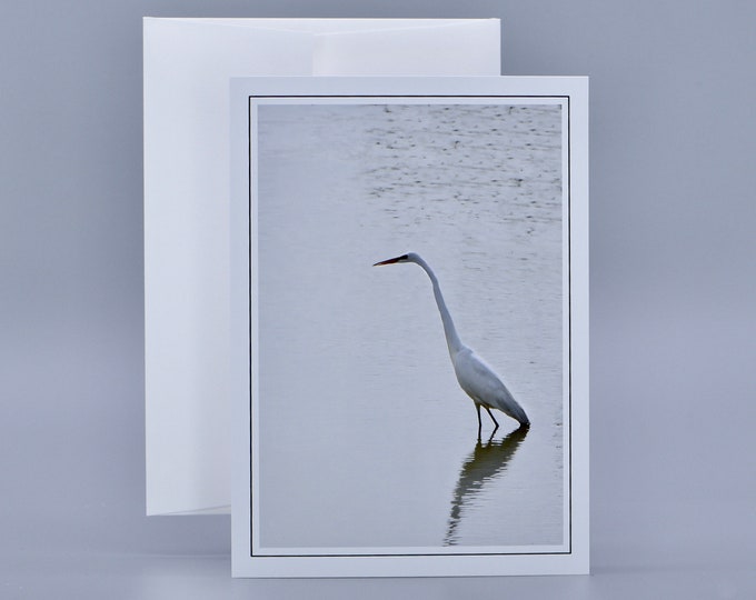 Great Egret - Blank Note Card  71-1075