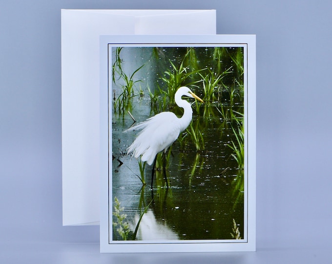 Great Egret - Blank Note Card - Great Egret Profile  71-9275