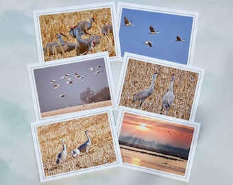 Sandhill Cranes Note Cards: All Occasion Blank Cards - 60-0090