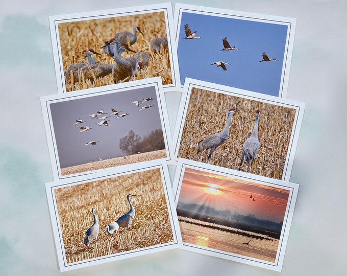 Sandhill Cranes Note Cards - Blank Note Cards - All Occasion Cards  60-0090